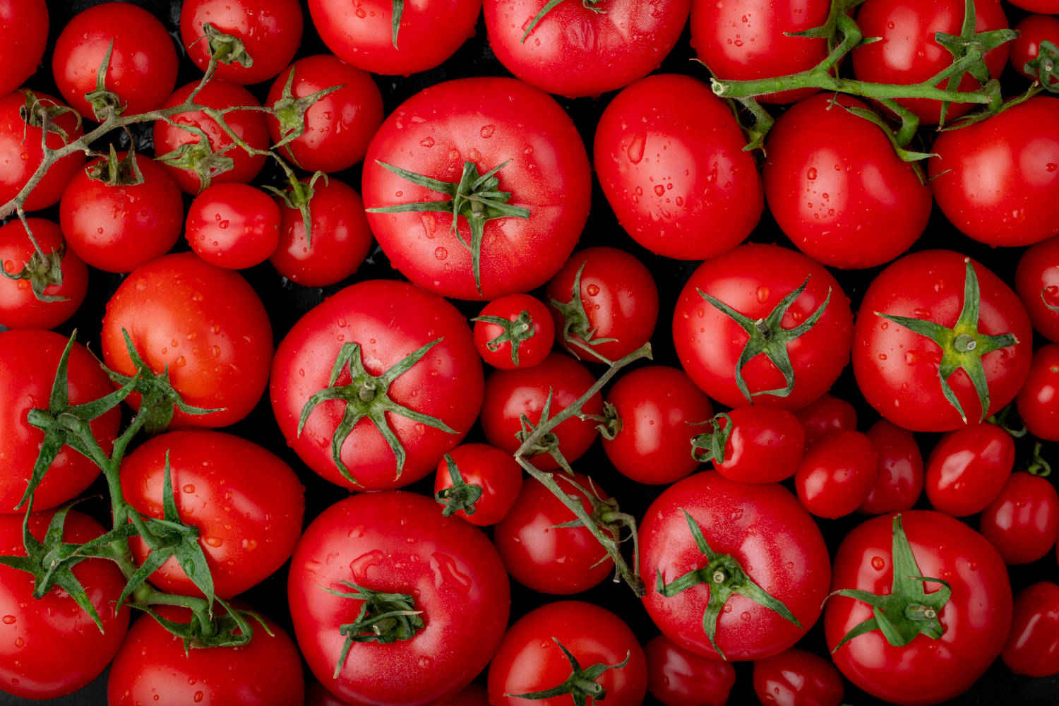 トマトの平均重量