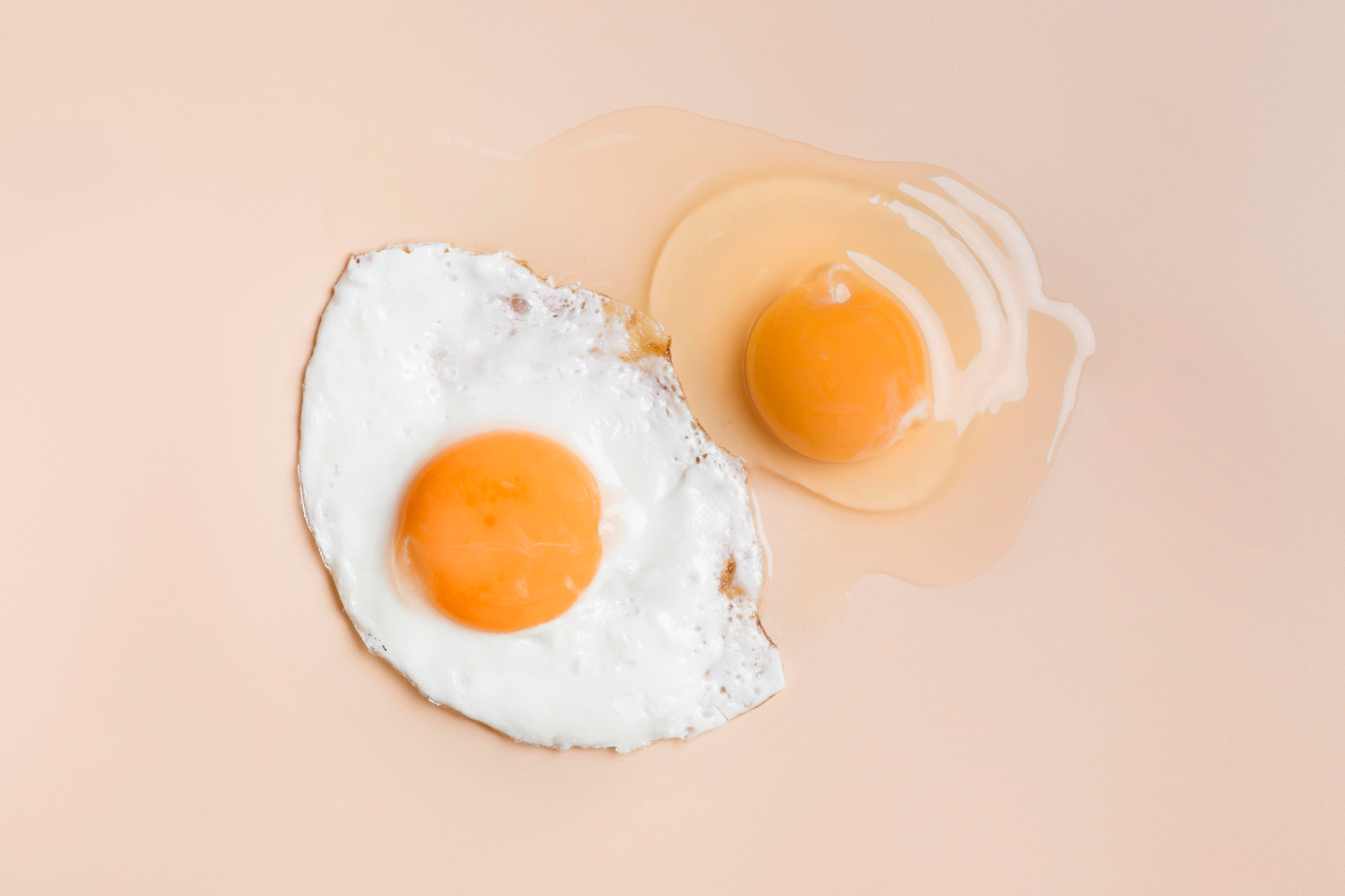 卵の重さは飼育環境によって変わりますか？