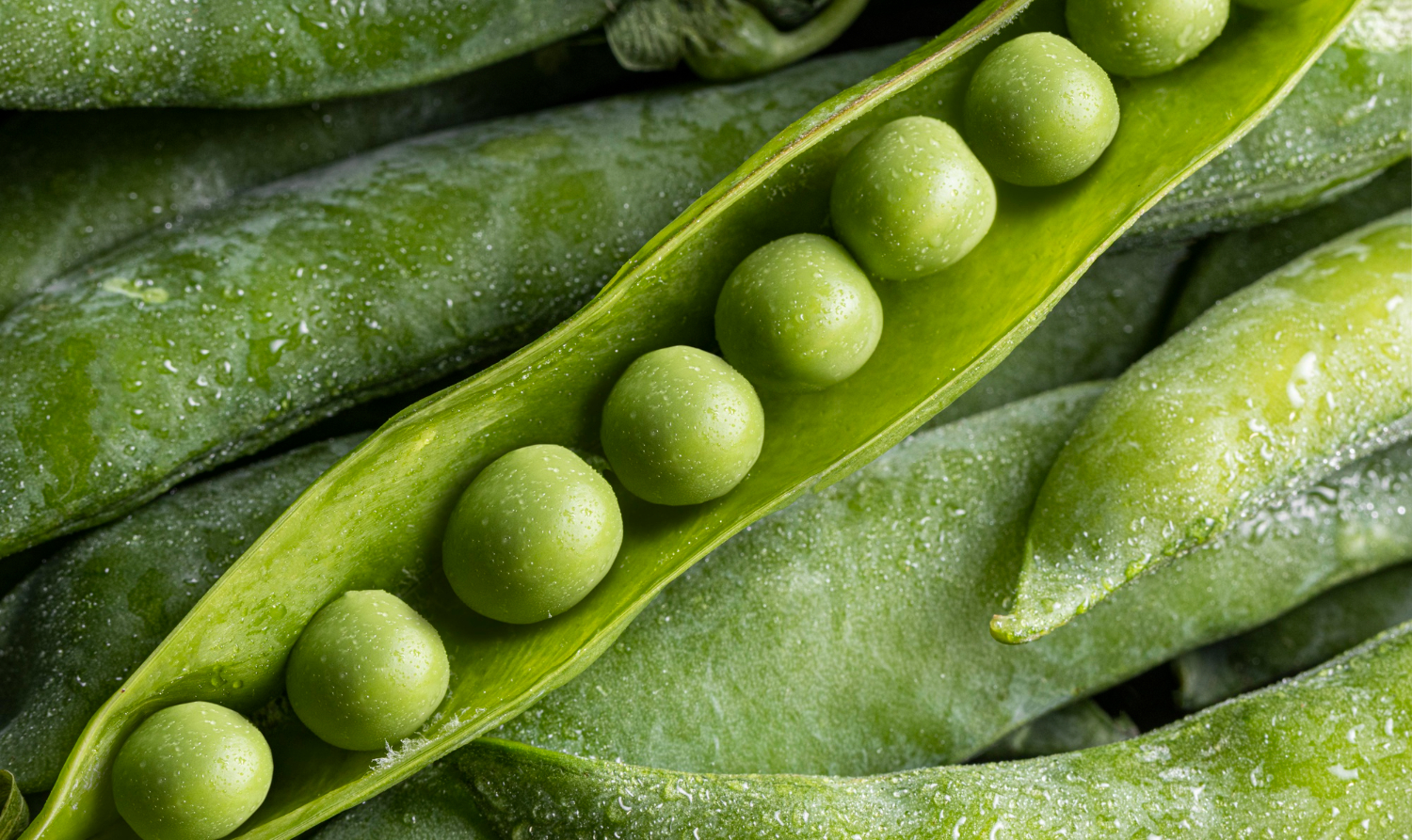 枝豆以外にも健康に良い食材はありますか？